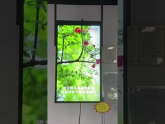 cửa sổ hiển thị